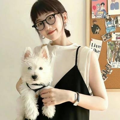 蝴蝶梦醒海报