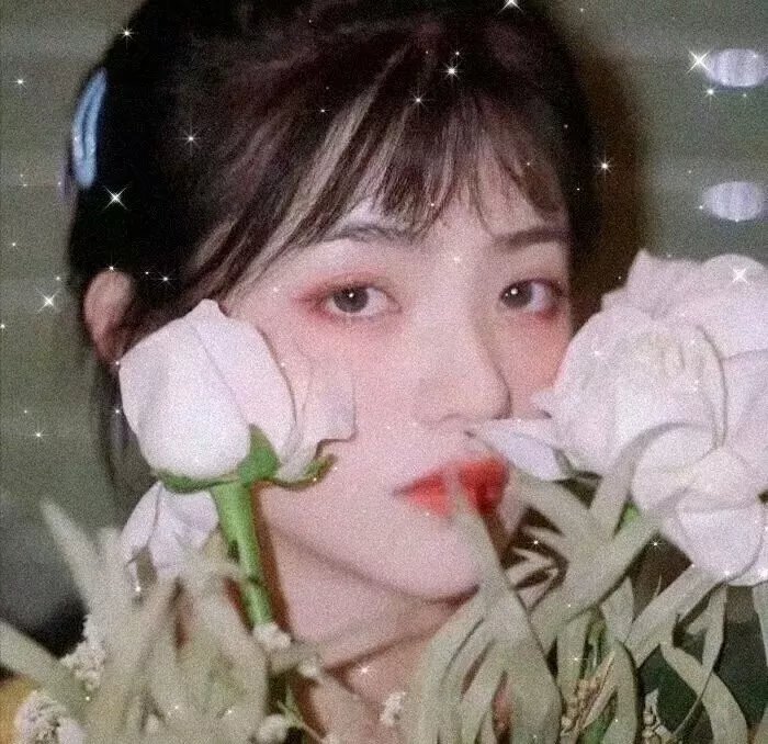 绿茵春色海报